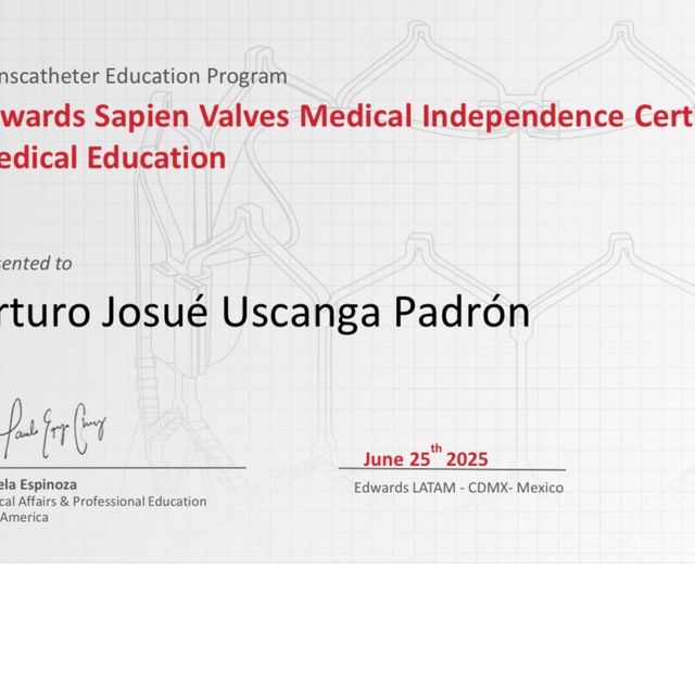 Ampliar imagen: certificate 26