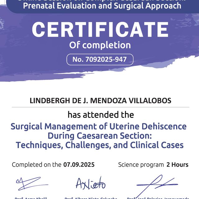 Ampliar imagen: certificate 3