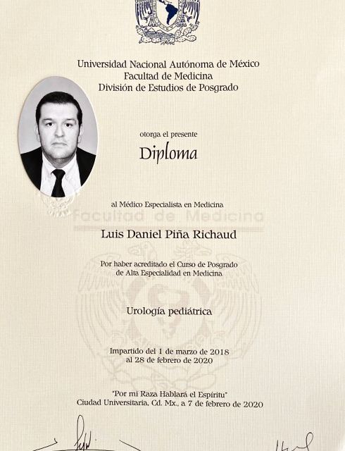 Ampliar imagen: certificate 1