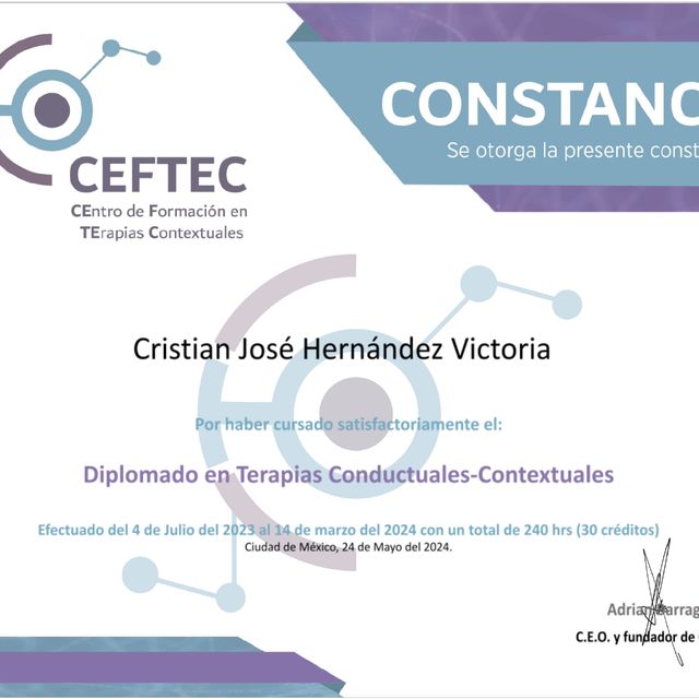 Ampliar imagen: certificate 7