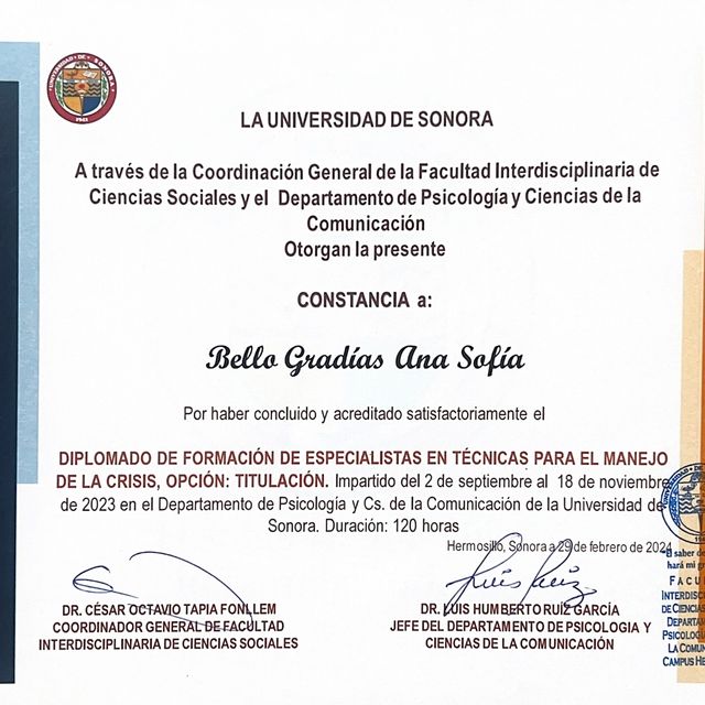 Ampliar imagen: certificate 5