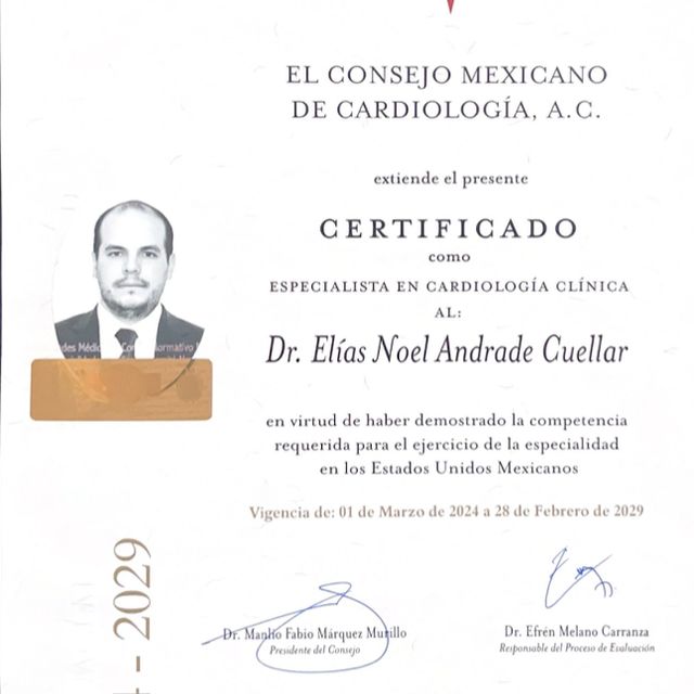 Ampliar imagen: certificate 3