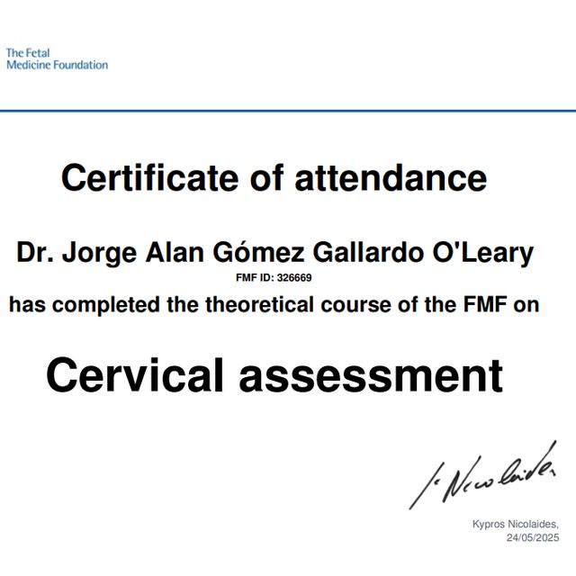 Ampliar imagen: certificate 9