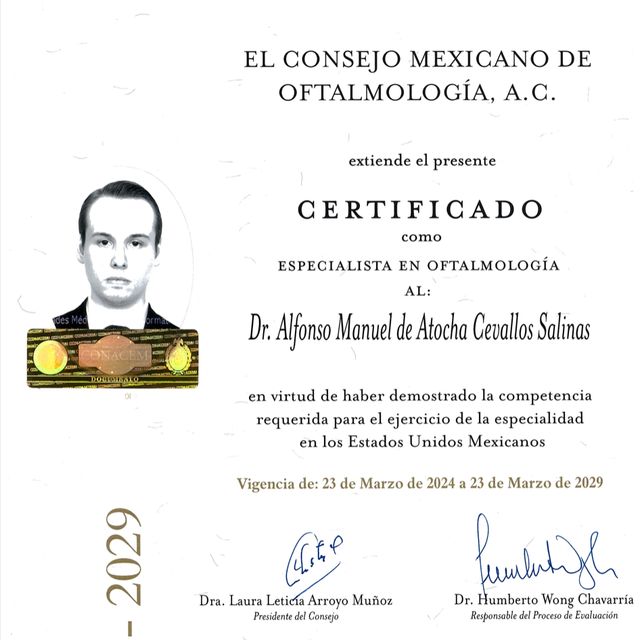 Ampliar imagen: certificate 1