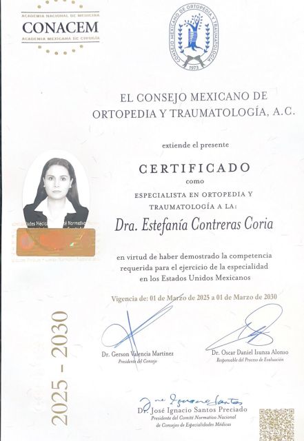 Ampliar imagen: certificate 2