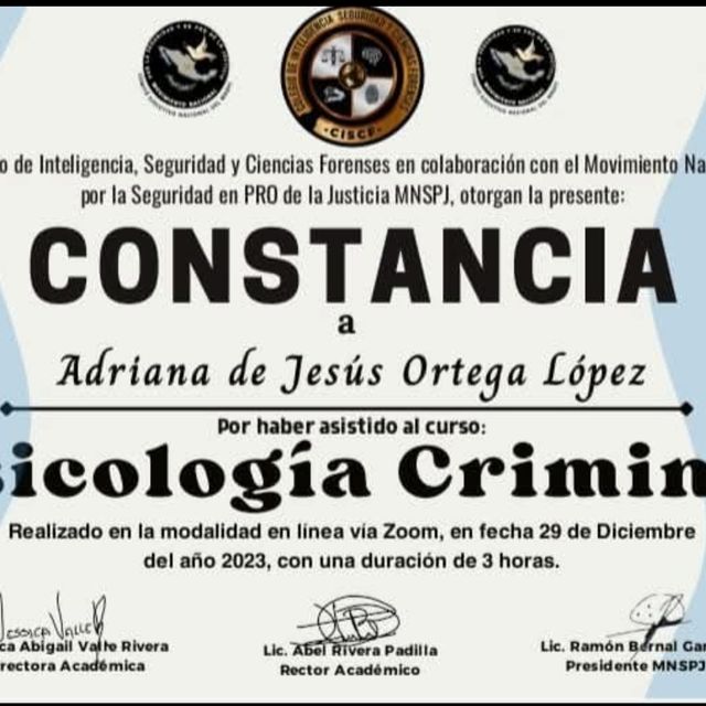 Ampliar imagen: certificate 3