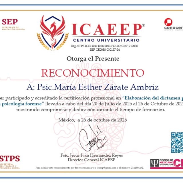 Ampliar imagen: certificate 8