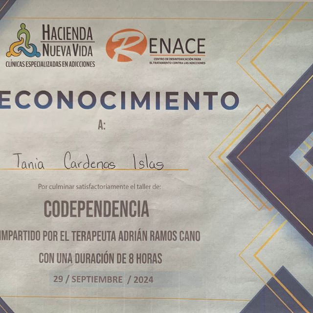 Ampliar imagen: certificate 5