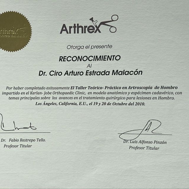 Ampliar imagen: certificate 7