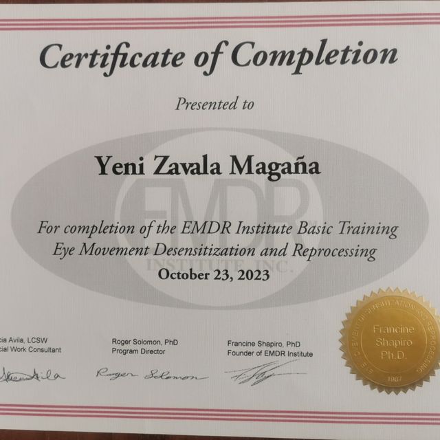 Ampliar imagen: certificate 2
