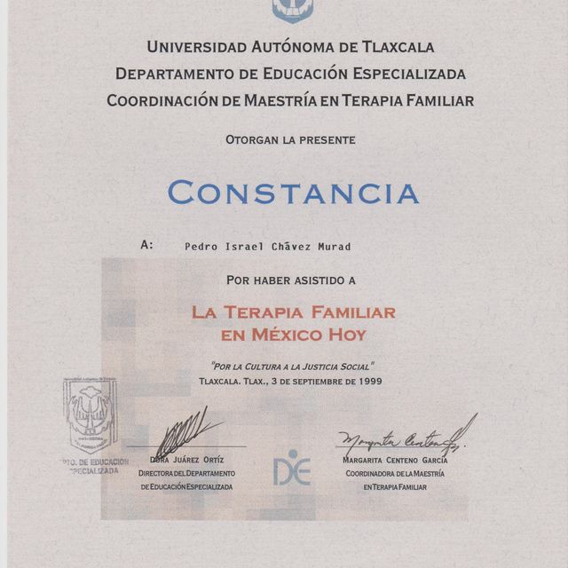 Ampliar imagen: certificate 7