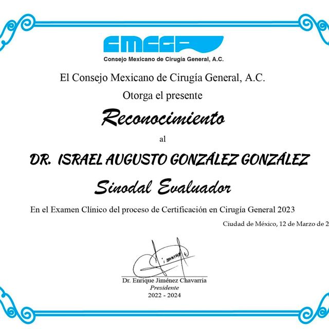Ampliar imagen: certificate 17