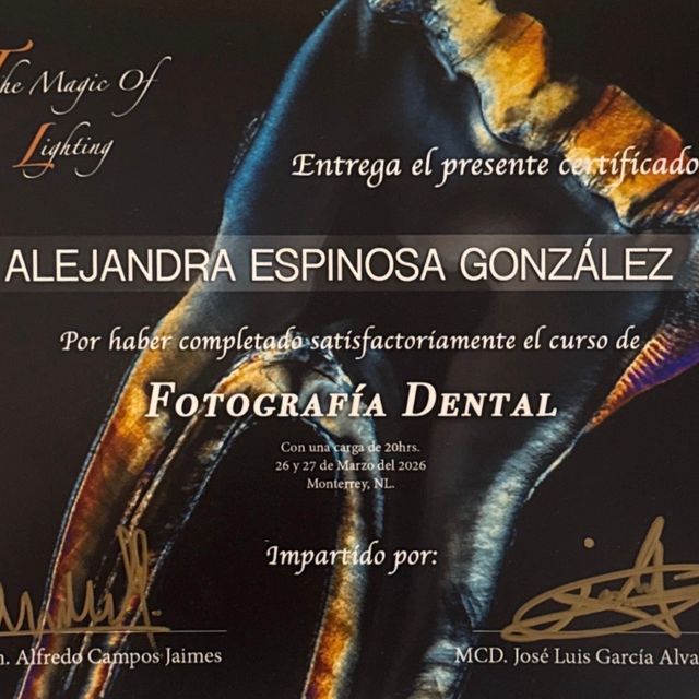 Ampliar imagen: certificate 1