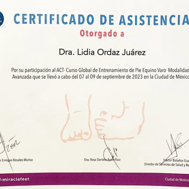 Ampliar imagen: certificate 7