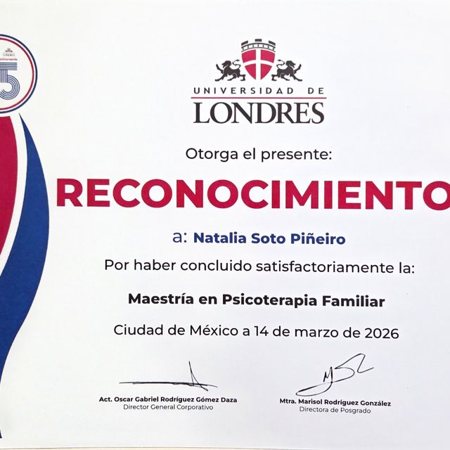Ampliar imagen: certificate 14