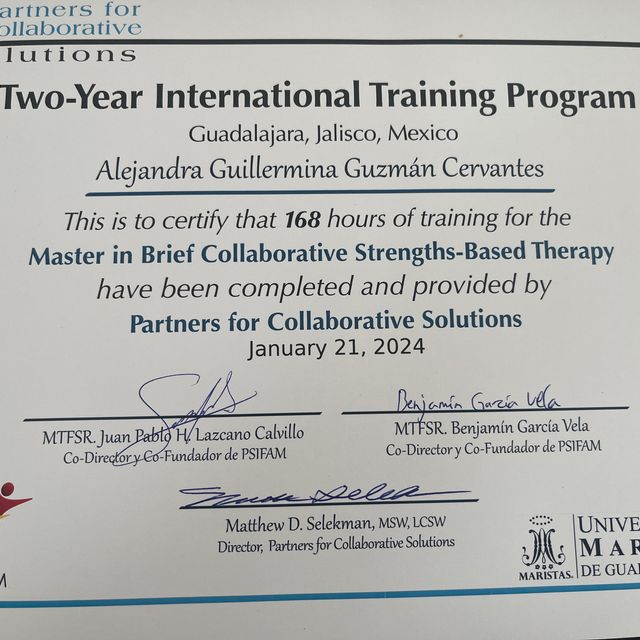 Ampliar imagen: certificate 1