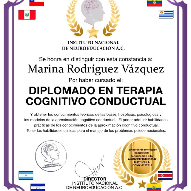 Ampliar imagen: certificate 2