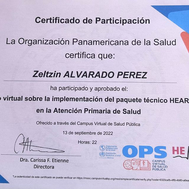 Ampliar imagen: certificate 4