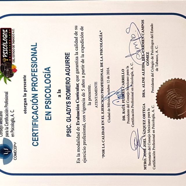 Ampliar imagen: certificate 1