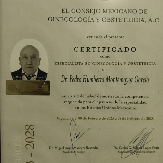 Ampliar imagen: certificate 1