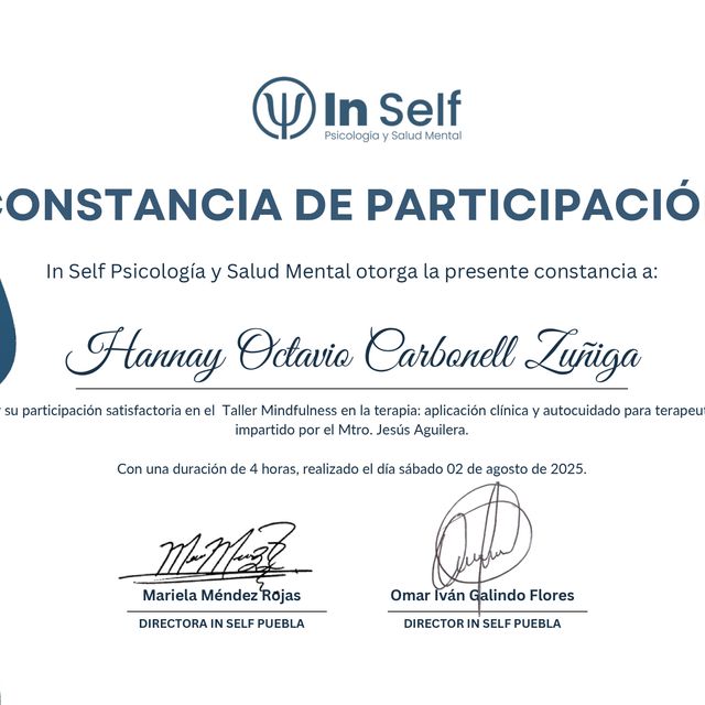 Ampliar imagen: certificate 9