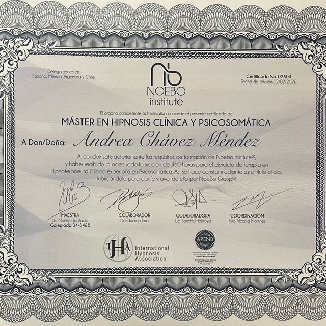 Ampliar imagen: certificate 3