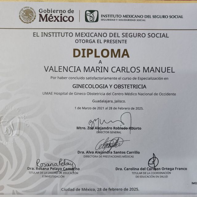 Ampliar imagen: certificate 2