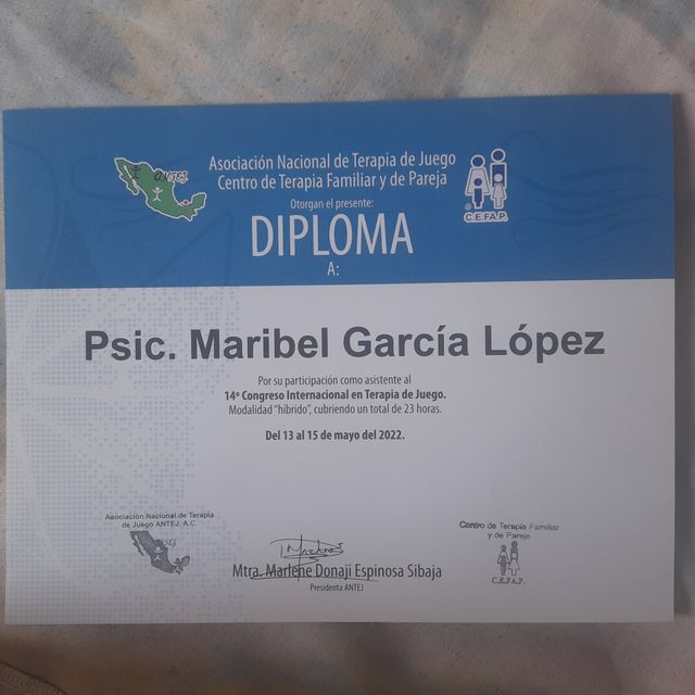 Ampliar imagen: certificate 7