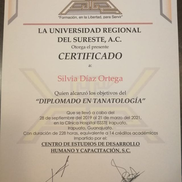 Ampliar imagen: certificate 2