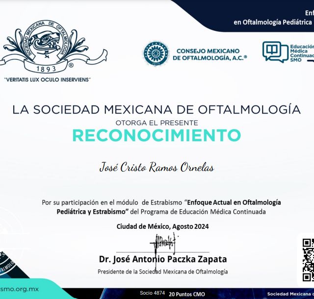 Ampliar imagen: certificate 3
