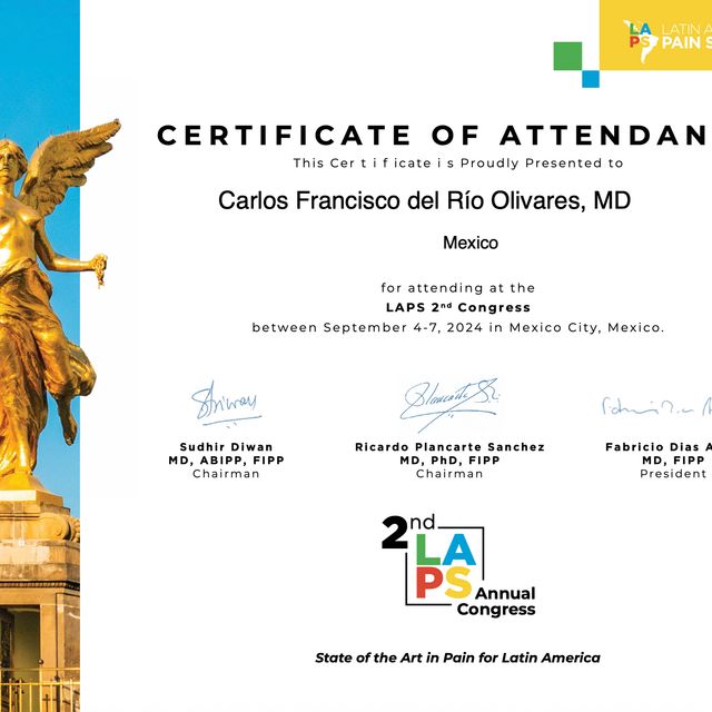 Ampliar imagen: certificate 3