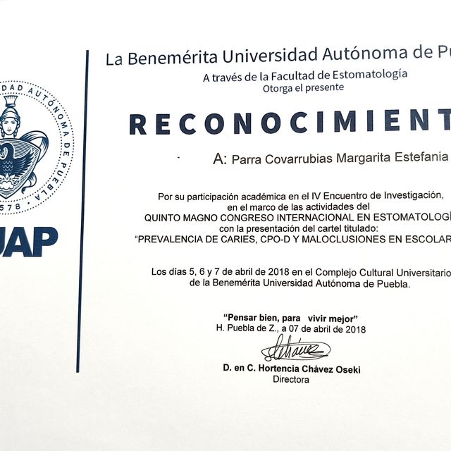 Ampliar imagen: certificate 5