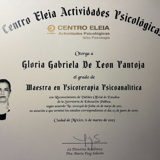 Ampliar imagen: certificate 1