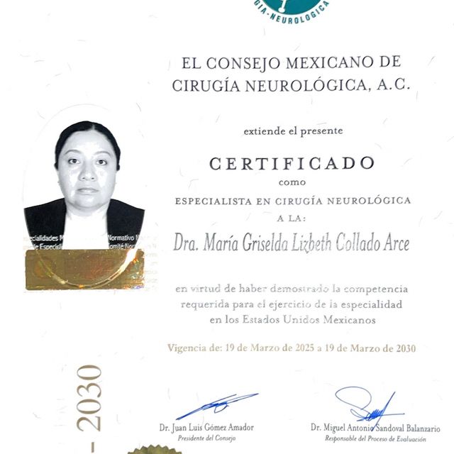Ampliar imagen: certificate 4