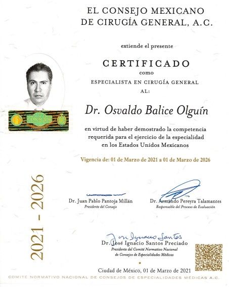 Ampliar imagen: certificate 1