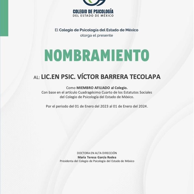 Ampliar imagen: certificate 25