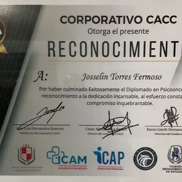 Ampliar imagen: certificate 1