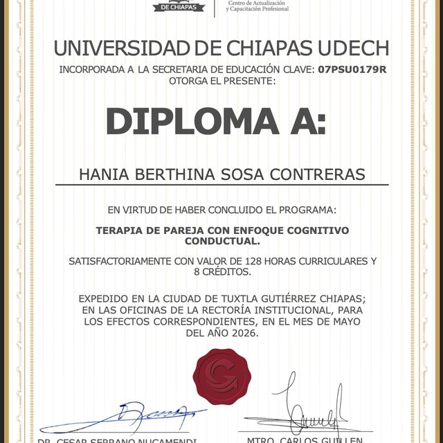 Ampliar imagen: certificate 1
