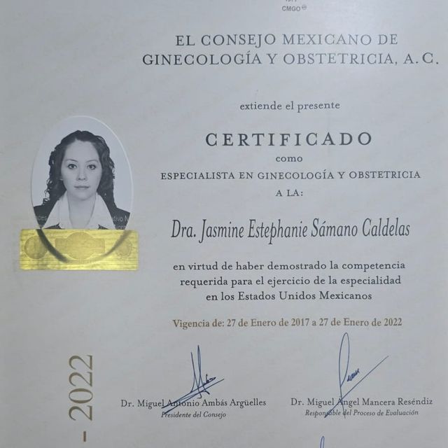 Ampliar imagen: certificate 2