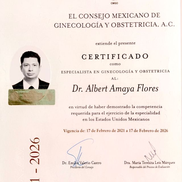 Ampliar imagen: certificate 1