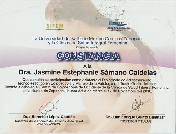 Ampliar imagen: certificate 4
