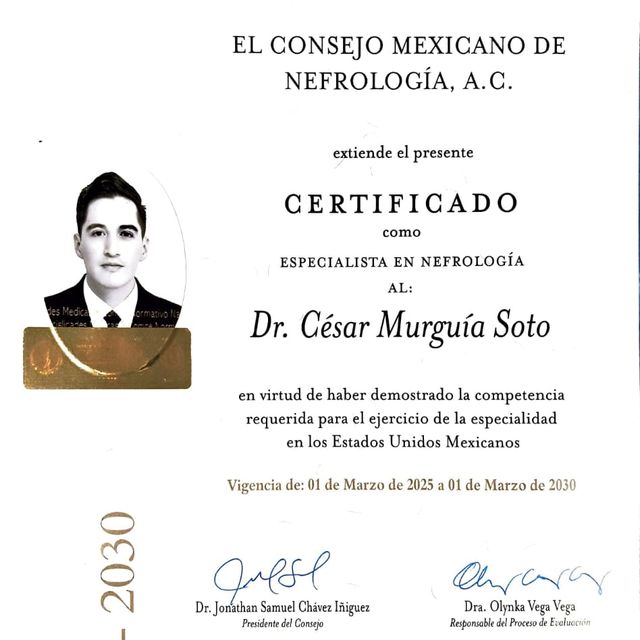 Ampliar imagen: certificate 5