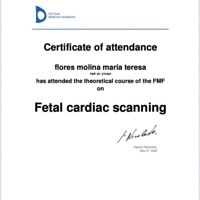 Ampliar imagen: certificate 9