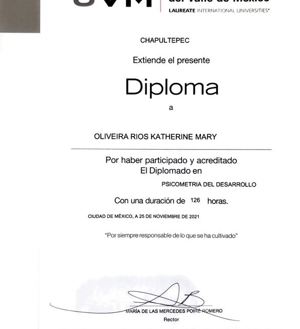 Ampliar imagen: certificate 3