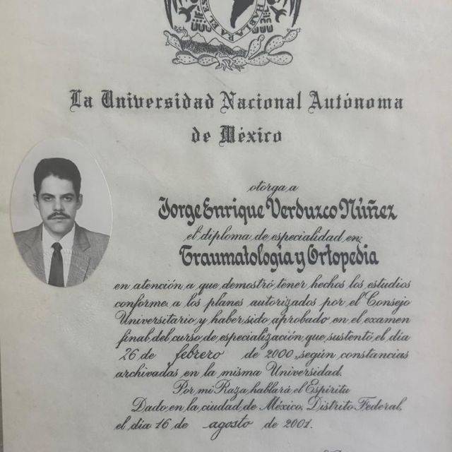 Ampliar imagen: certificate 7