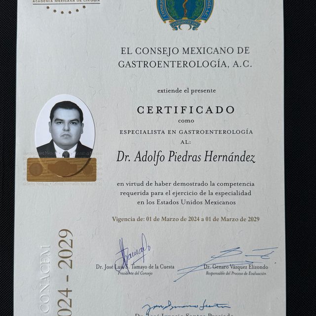 Ampliar imagen: certificate 1