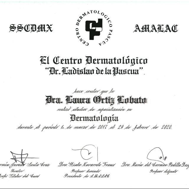 Ampliar imagen: certificate 5