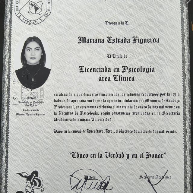 Ampliar imagen: certificate 2
