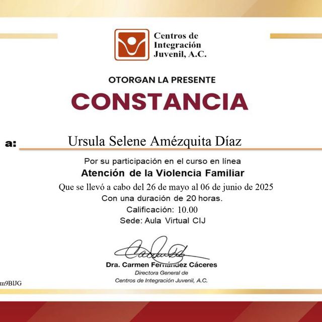 Ampliar imagen: certificate 1