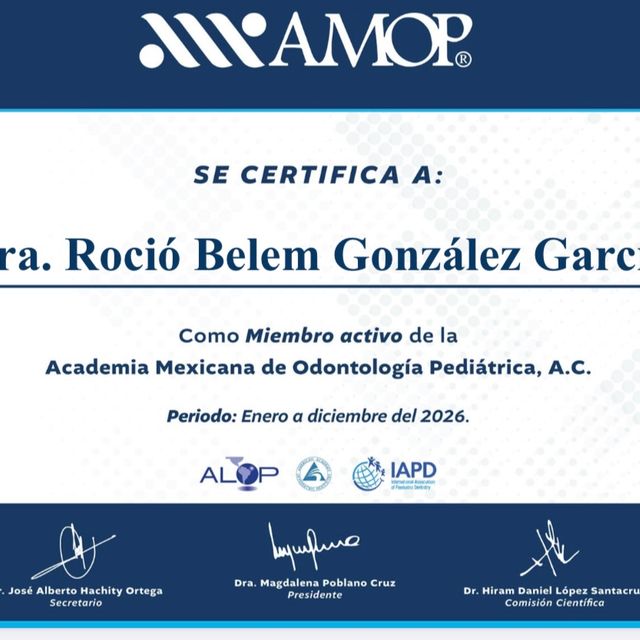 Ampliar imagen: certificate 1
